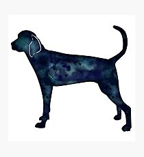 Treeing Walker Coonhound Schwarz Aquarell Silhouette Fotodruck