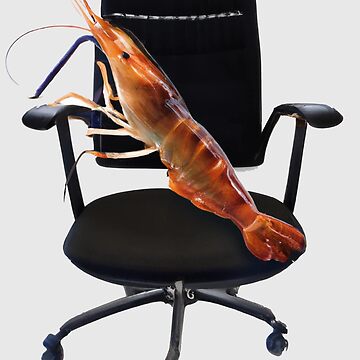 Funny meme of the shrimp sitting in an office desk chair