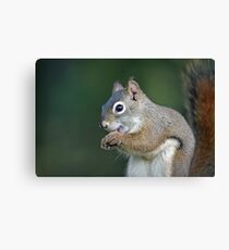 I know, too much eyeliner!!! Canvas Print