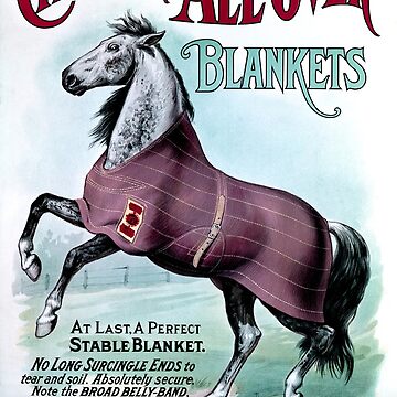 Vintage best sale horse blanket