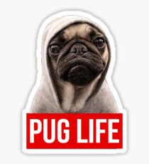 Pug Life Sticker