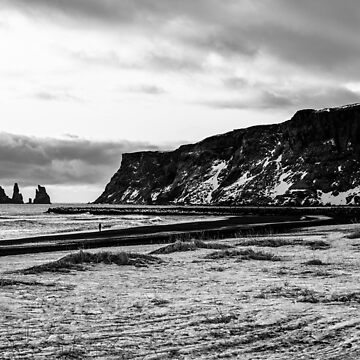 Black Sand Beach Vik Iceland