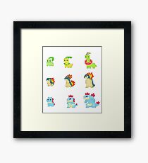 Johto starters Framed Print
