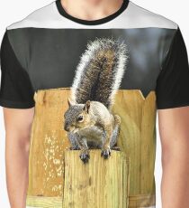 Squirrel On A Fence Post - Florida Graphic T-Shirt