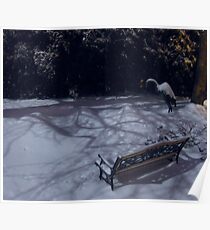Moonlight Glow on the Snow... Poster