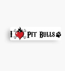 I Heart Pit Bulls Canvas Print