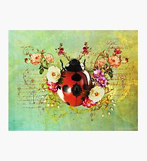 Lady Bug Luck Photographic Print