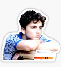 Timothée Chalamet - Elio und seine Bücher Sticker