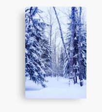 Winter Canvas Print