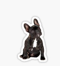 French Bulldog Sticker