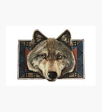 Wolf Photographic Print