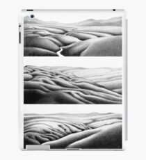 Southern Lands iPad Case/Skin