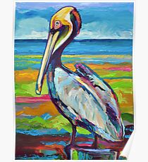Bunter St. Pete Pelican Poster