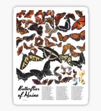 Butterflies of Maine Chart Sticker