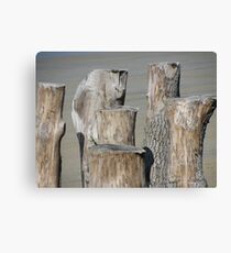 Breakwater Canvas Print