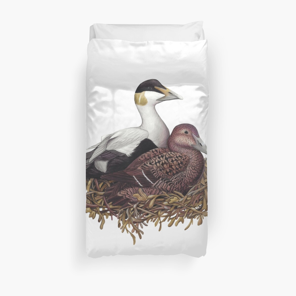 Common Eider Duvet Cover By Jadafitch Redbubble