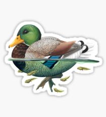 Mallard Sticker