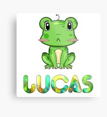 Lucas Frog Metal Print