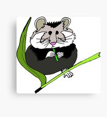 Hamster Canvas Print