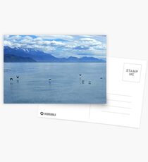 Skimming Postcards