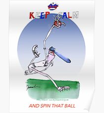 English Cricket Keep Calm and spin that ball Poster