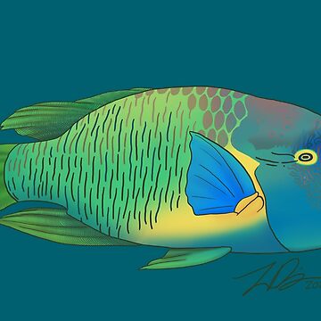 Napoleonfish (Humphead Wrasse) | Sticker