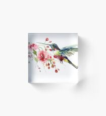 Kolibri und Blumen Acrylblock