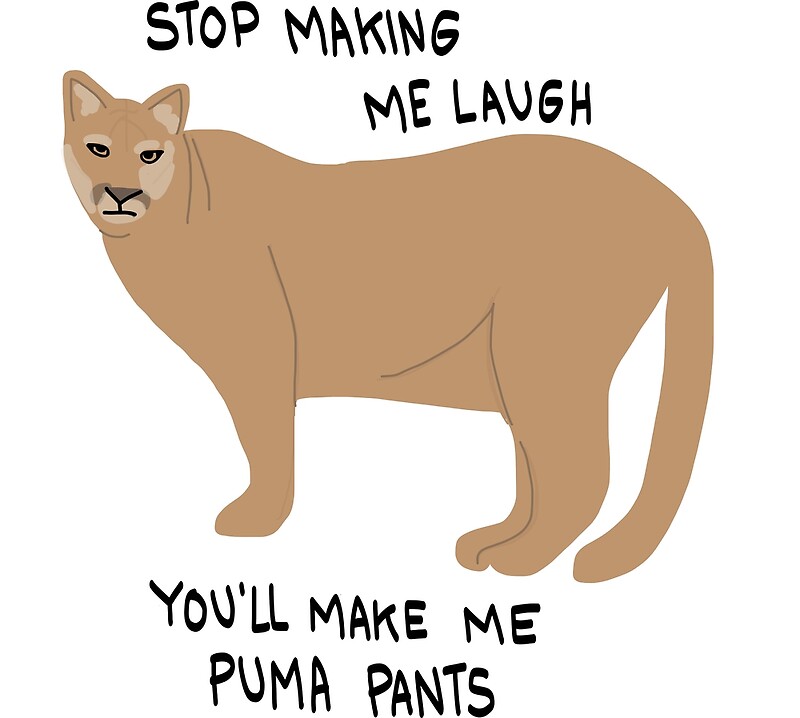 puma stop