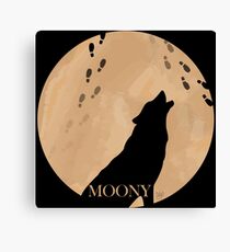 Moony Canvas Print