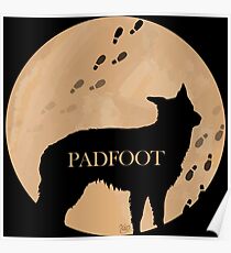 Padfoot Poster
