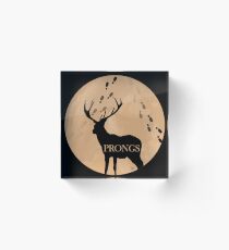 Prongs Acrylic Block