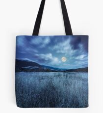 meadow with high grass in mountains at night Tote Bag