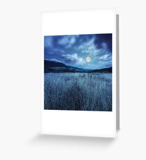 meadow with high grass in mountains at night Greeting Card
