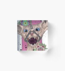 Gag me Acrylic Block
