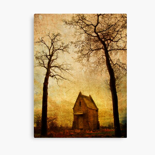 Small house Canvas Print