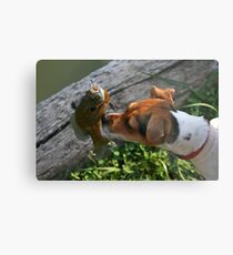 Something Fishie Metal Print