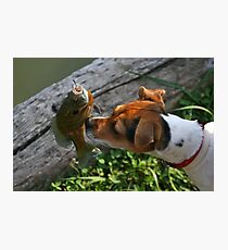 Something Fishie Photographic Print