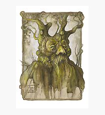 Treebeard Photographic Print