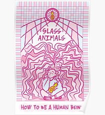 Glass Animals Poster