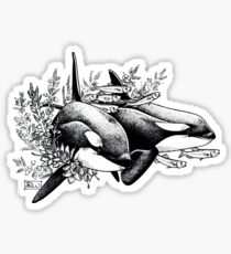 Orcas of Norway Sticker
