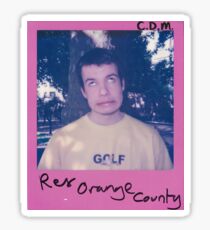 Rex Orange County Polaroid Sticker