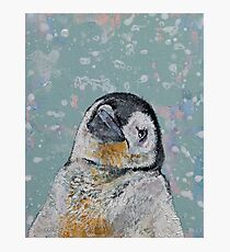 Baby Penguin Snowflakes Photographic Print