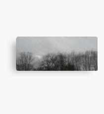 winter trees and sky Metal Print