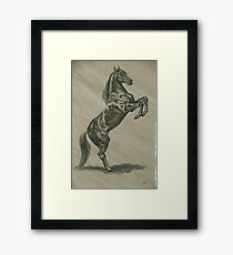 Rearing Stallion Framed Print