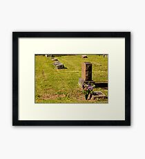 Memorial Flowers 1 Framed Print