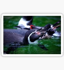 Penguin Swin Sticker
