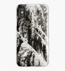 Draped in Splendor iPhone Case