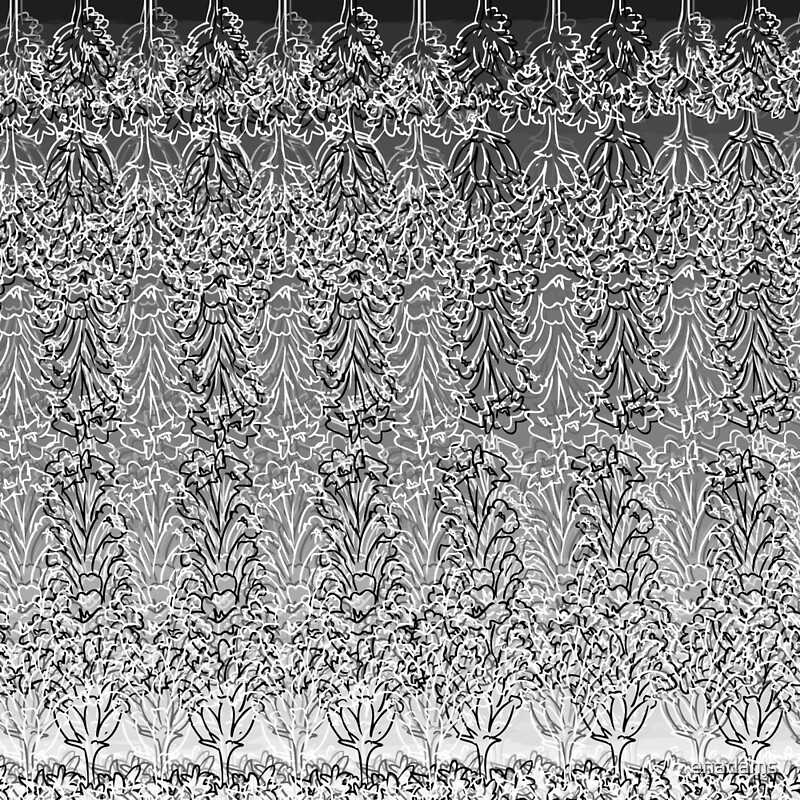 "Black, White and Gray Lavender" by ehadams | Redbubble