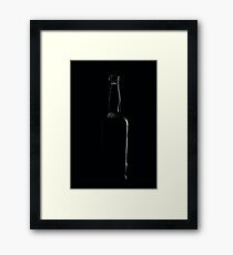 Bottle Framed Print