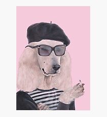 French Poodle Photographic Print